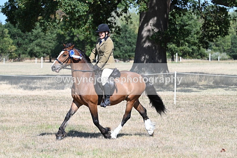 WJ7_4242 - Class 9 Mountain & Moorland Ridden