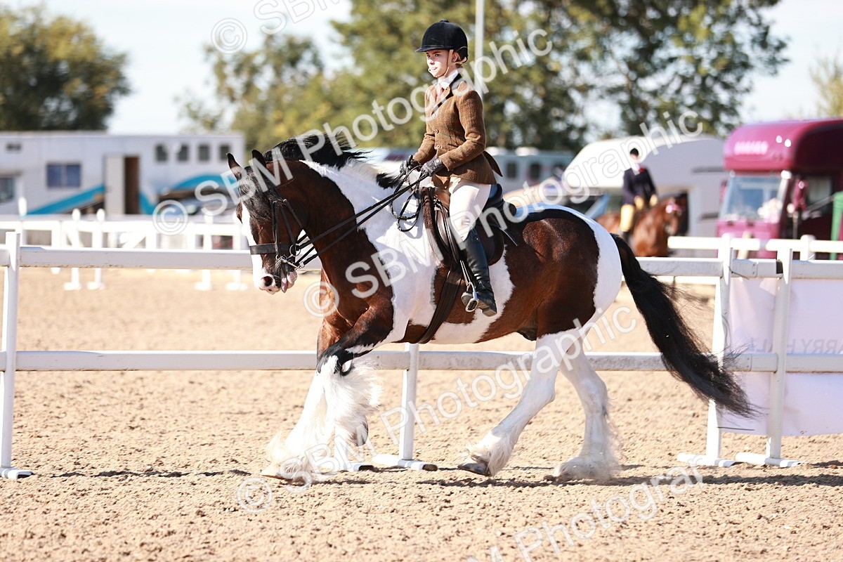 SBM_12481 - Class 403 - Grassroots Ridden - Junior