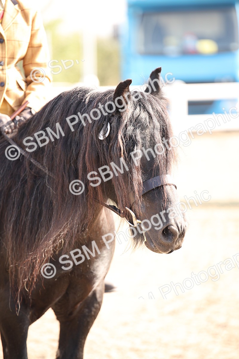 SBM_11008 - Class 403a Bottom Hole Working Veteran (15-19)