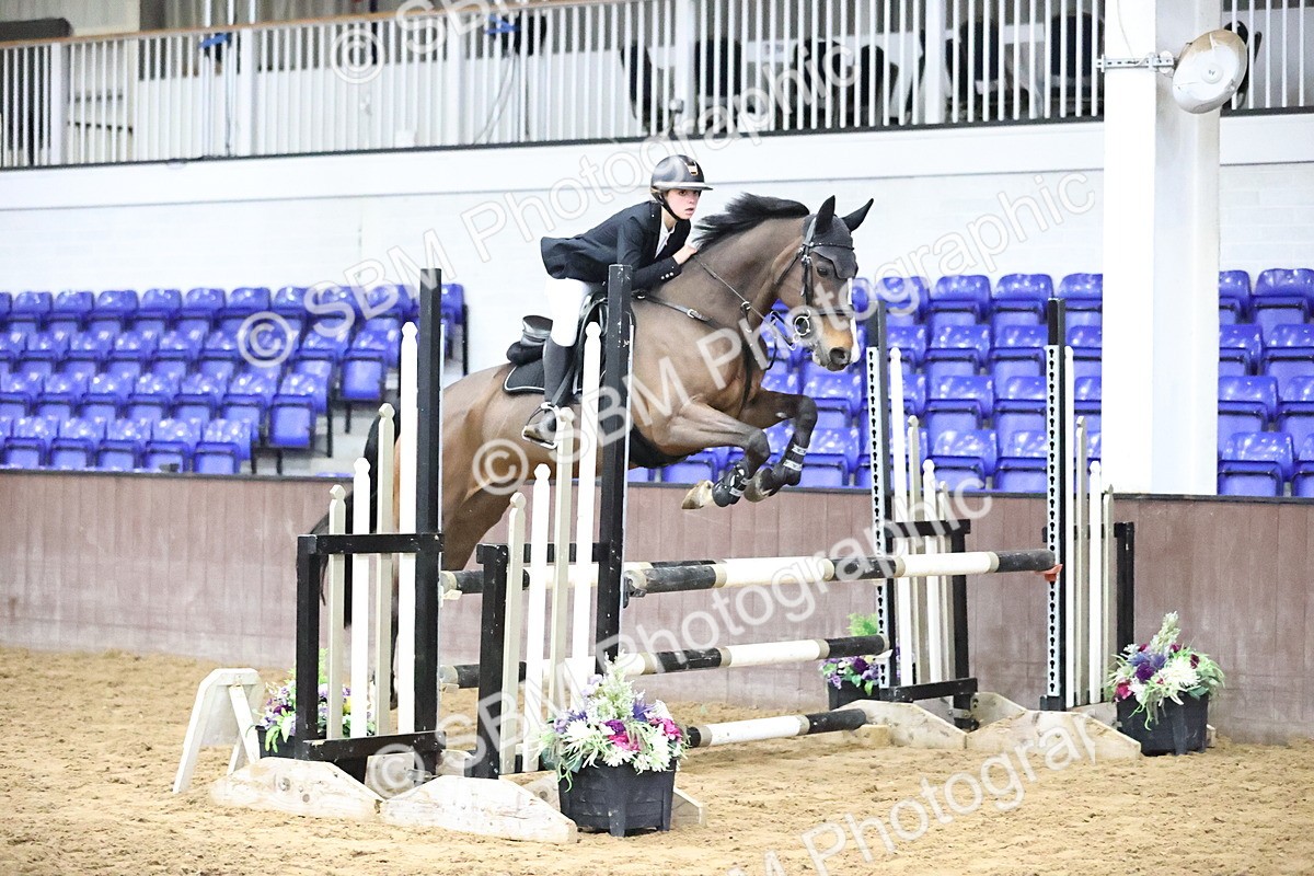 SBM_006568_Class 20 - Senior British Novice - 90cm - Customer Cart - Brihanna