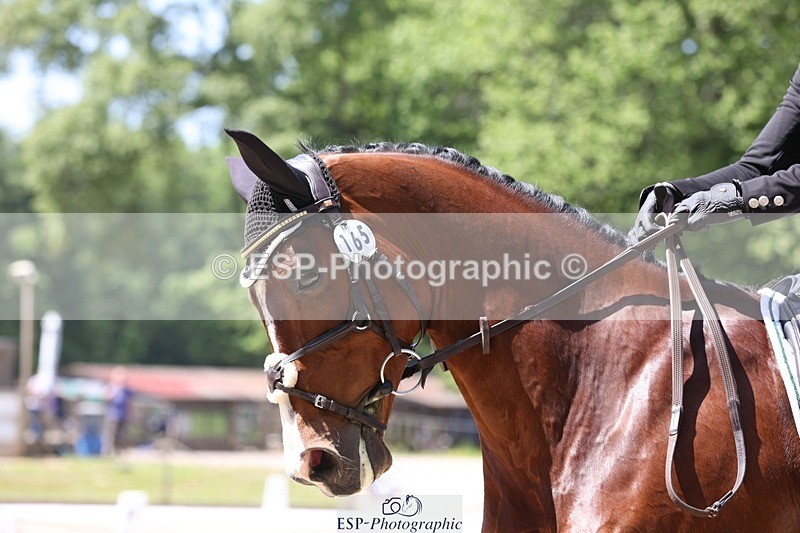 230526-130935-06329 - 165-LEV_IDWJ-Danielle_Frost-WEDTrotUp+DR