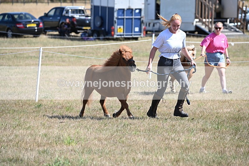 WJ6_4583 - Class 17 Mountain & Moorland