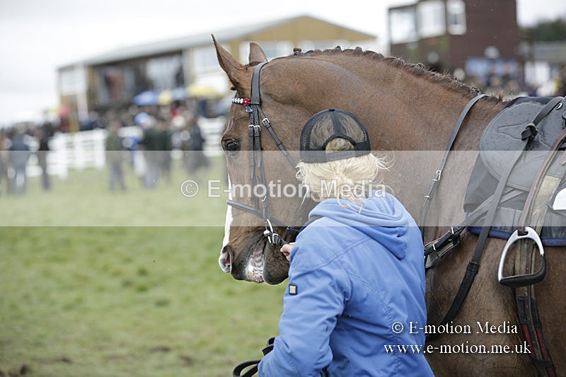 PtP 150320 0261 - New Forest Point-to-Point Larkhill 15/03/20