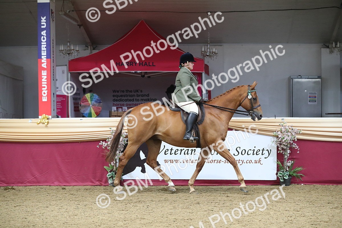 SBM_12313 - Class 108 Ridden Retired Racehorse- Pre Judging