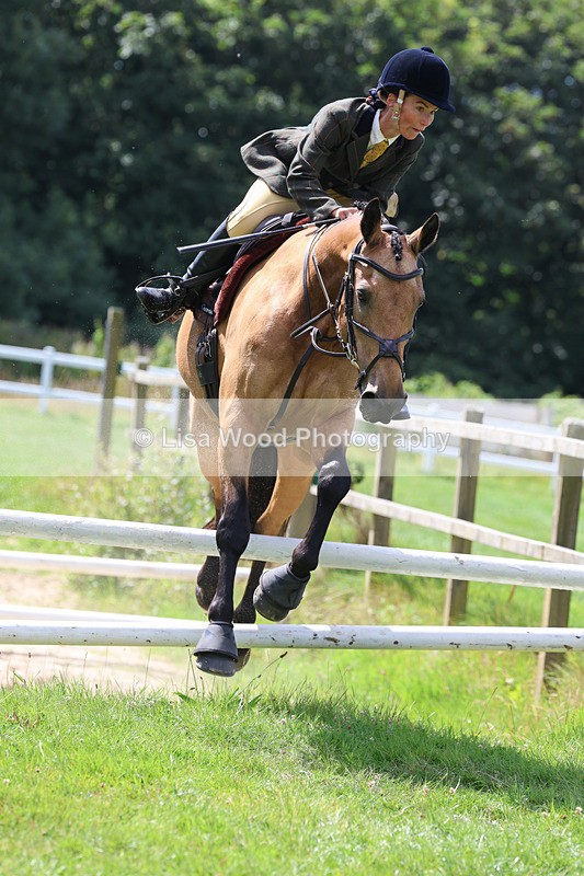 3E7A8898 - Class 6: Open Working Horse