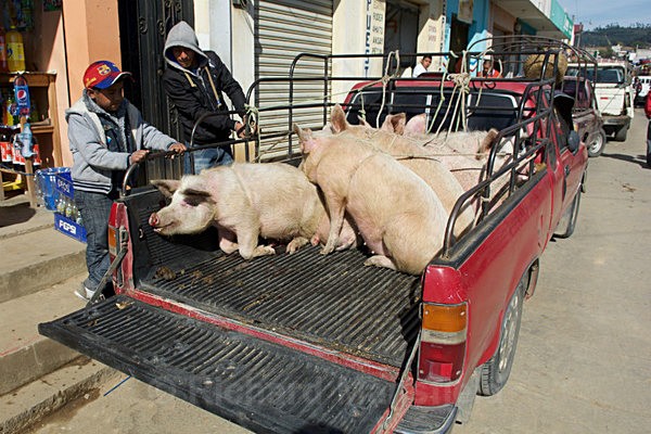  - Guatemala
