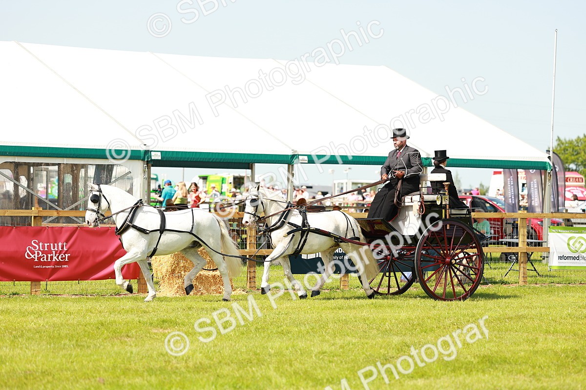 SBM_02811