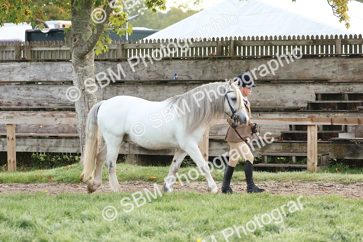 SBM_54489 - S38 - Starters Best Turnout