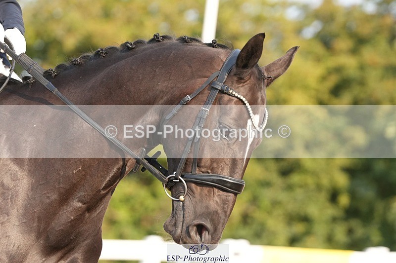 250817-084611-07322 - 164-Carole.MalyonDiamonds.Are.Forever