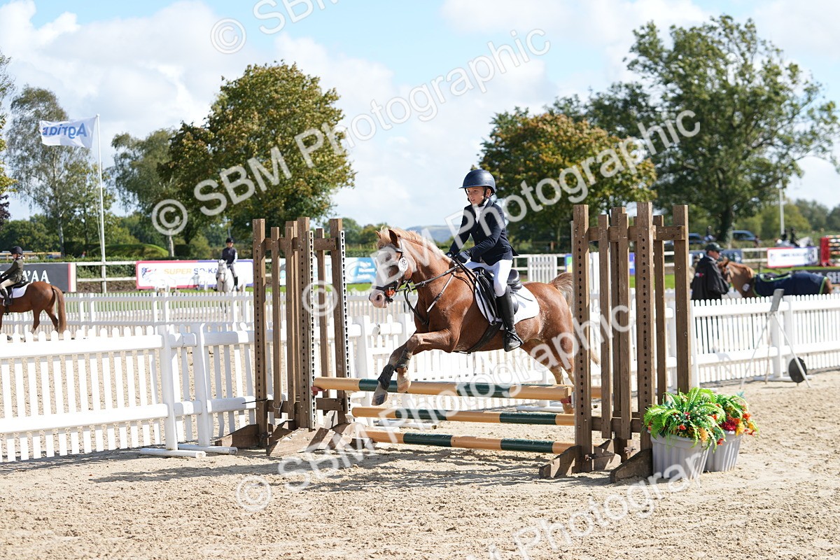 SBM_46513 - J7 - Junior Pony 60cm Championship