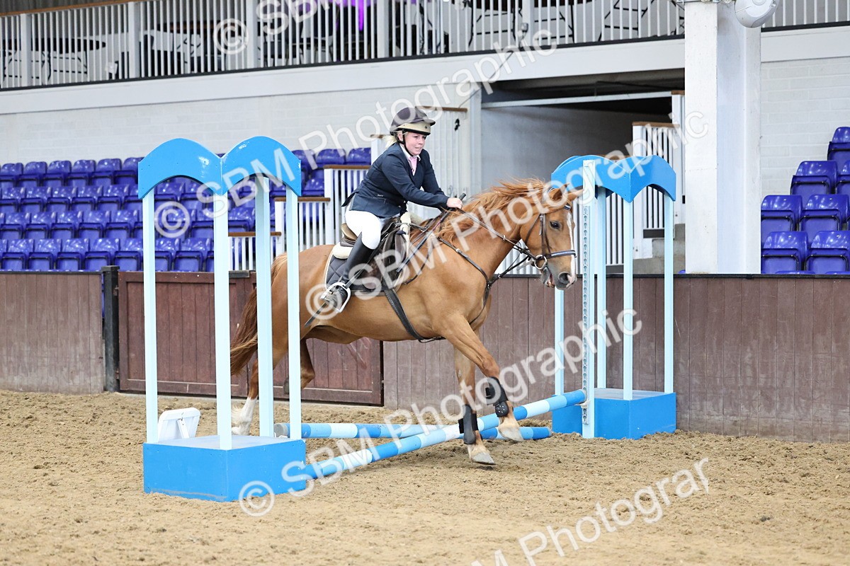 SBM_006996 - Class 1 - 40cm showjumping