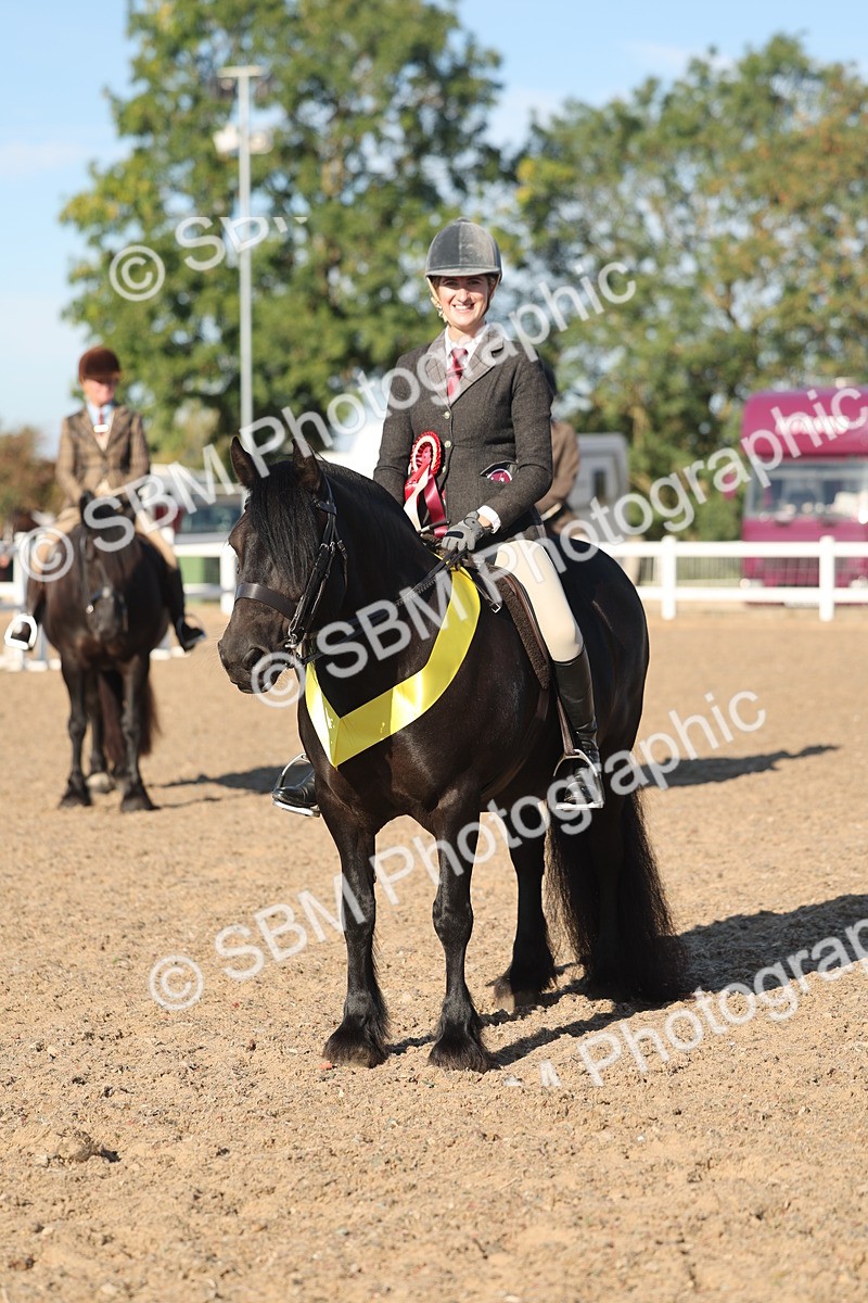 SBM_11117 - Class 302 - Ridden M&M Large Breeds