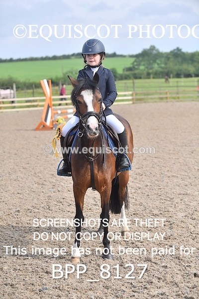 BPP_8127 - CLASS 11 SUN  Club/ Unaffiliated 60cms Open