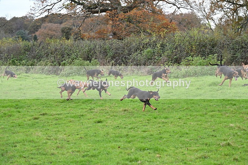 WJ7_1545 - Camera 2
