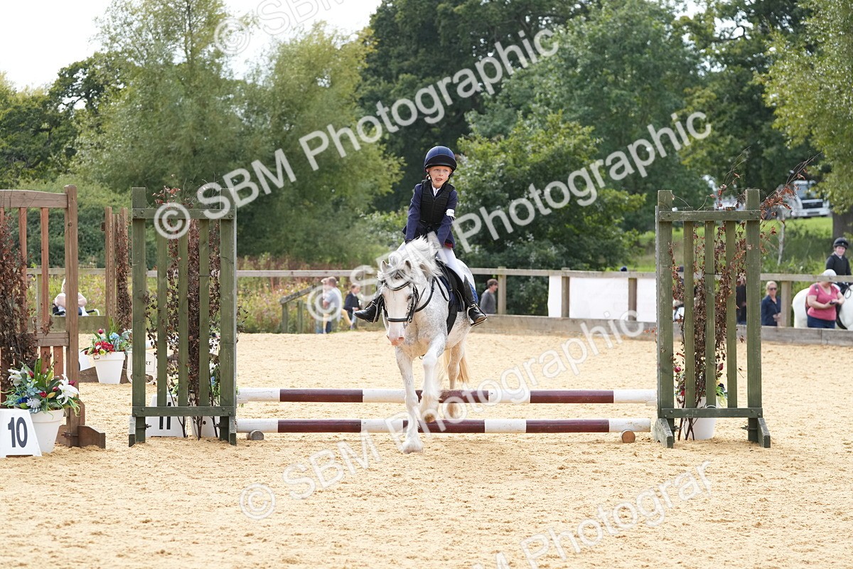 SBM_70576 - J3 - Mini Tour Junior Pony 40cm Championship