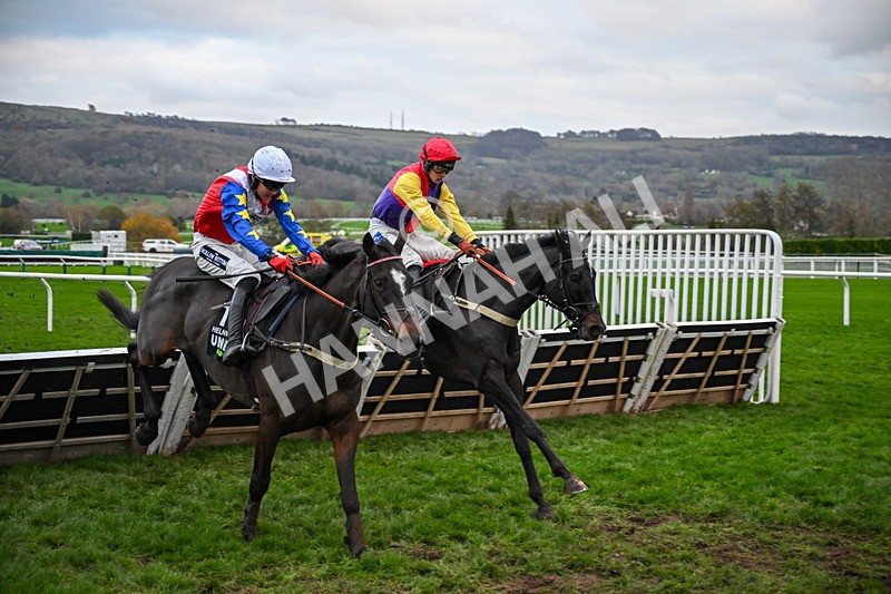 161125-Race 5-Alexei-6385 - Race 5