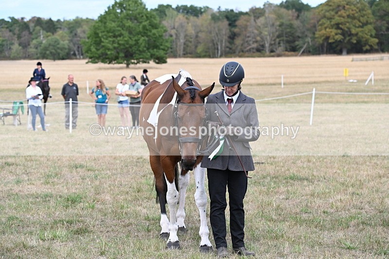 WJ6_6316 - Class 19 In-hand Veterans (Uploaded correct folder)