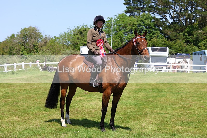 3E7A7552 - Class 31: Working Hunter Cob/Riding Horse