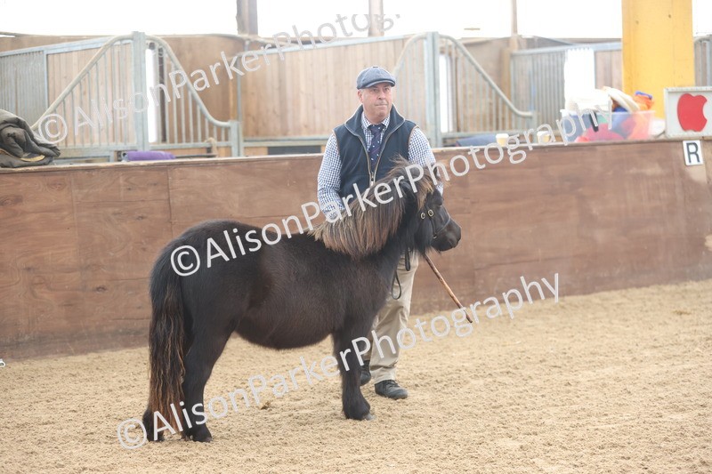 20251109-0010 - Class 2 - Yearling, Colt, filly or gelding