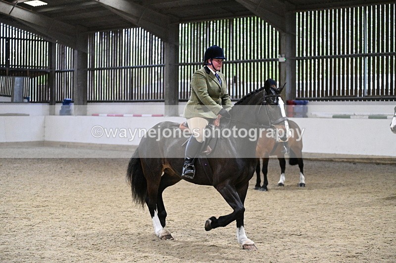 WJ7_3948 - Class 17 Ridden Cob