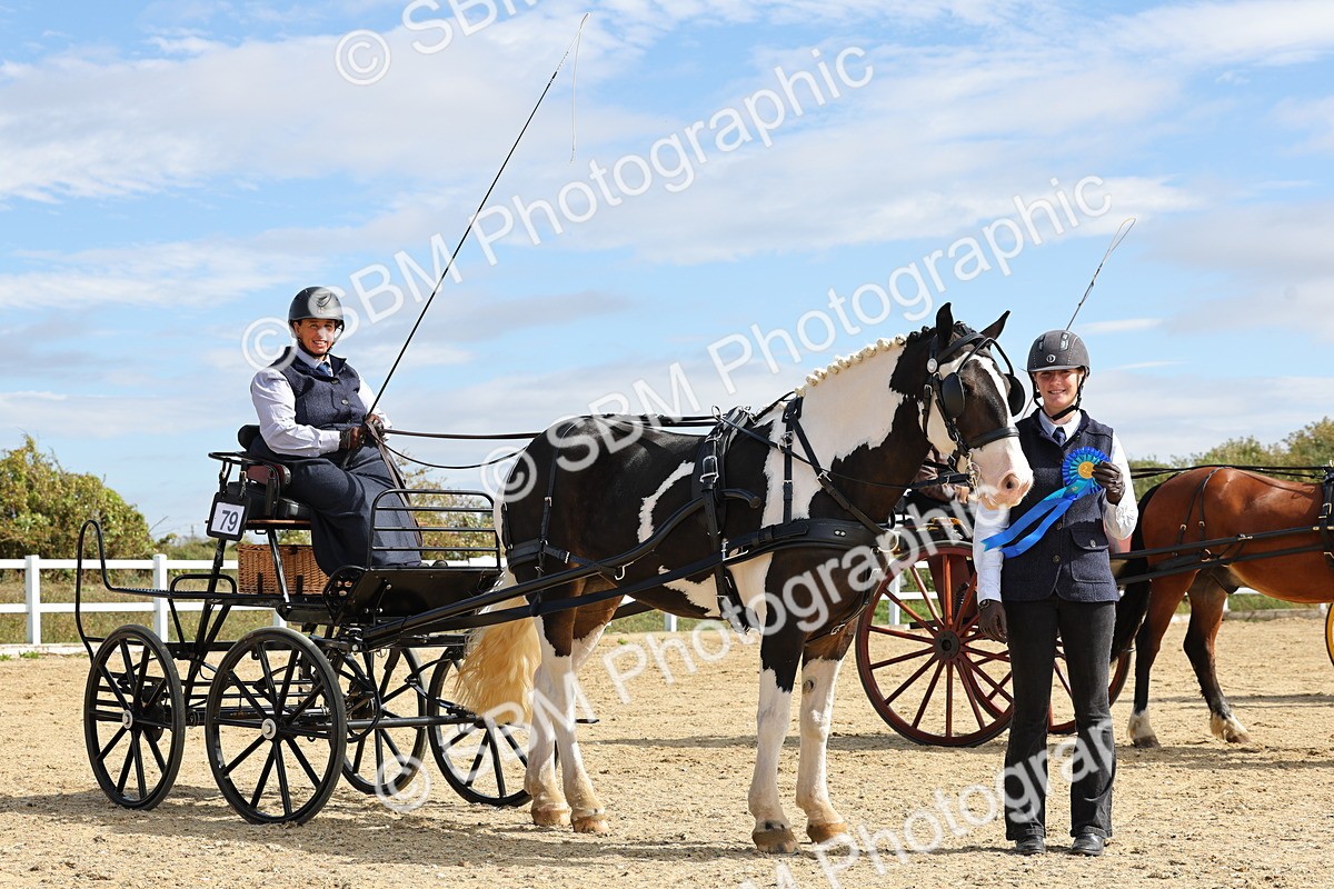 SBM_000950 - Class 8 - Novice Horse or Pony to any vehicle