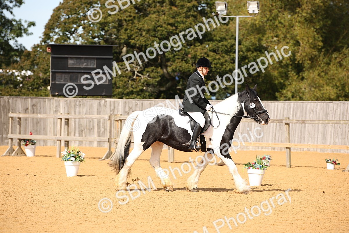SBM_21836 - D5 - Small Tour Championship - Intro C