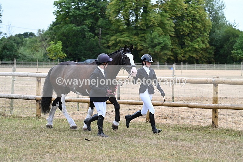 WJ7_8925 - Class 4a Prettiest Mare 14.2hh and over