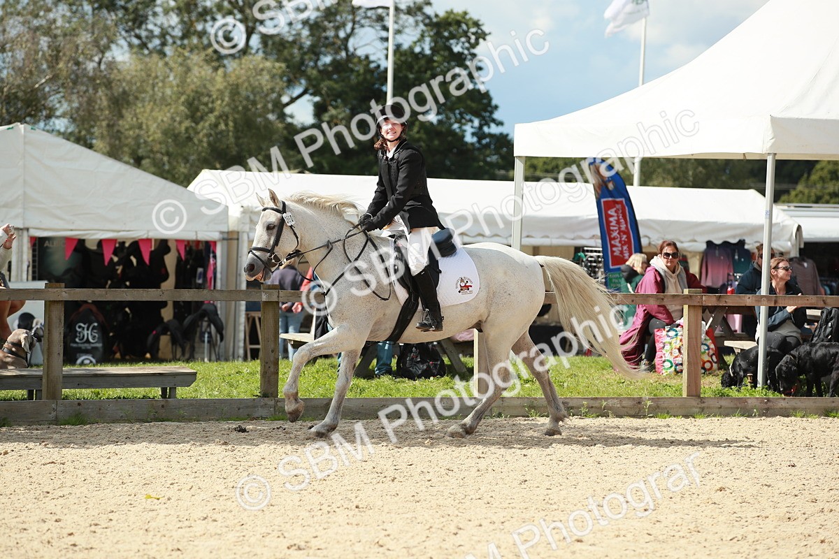 SBM_06336_J29 - Senior 65cm Championship
