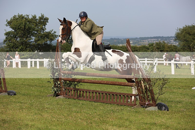 JPP_4043 - Class 24: Working Hunter 90cm