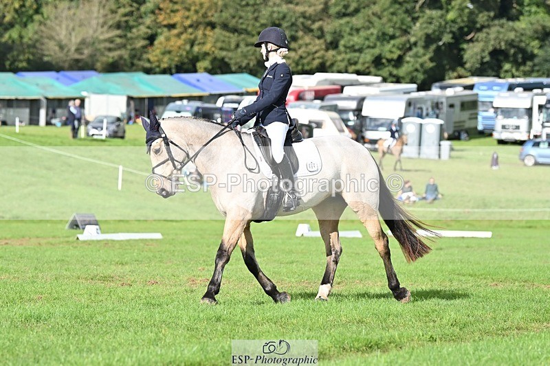 231020-141636-10863 - 664-TEMPLEMORE.WILD.ONE-Bella.Stevens-DR