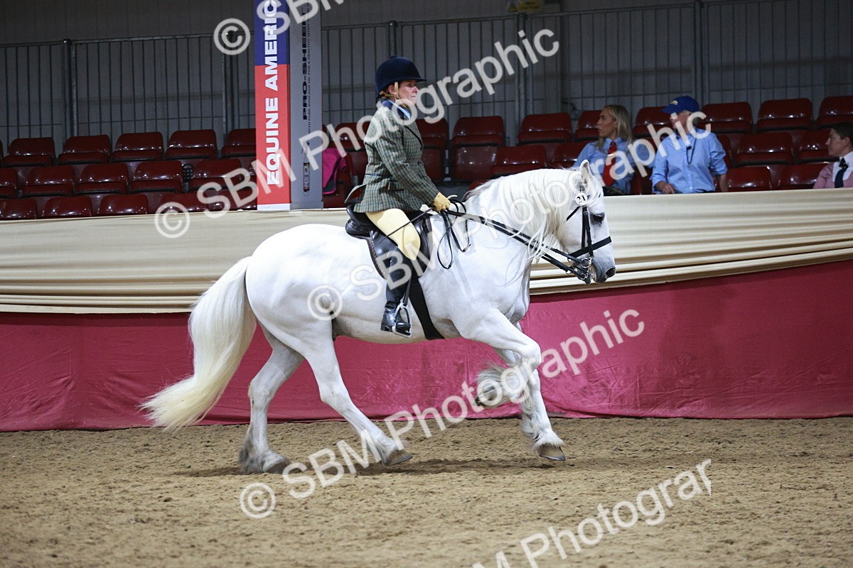 SBM_08059 - Class 11R - Regional Ridden Veteran