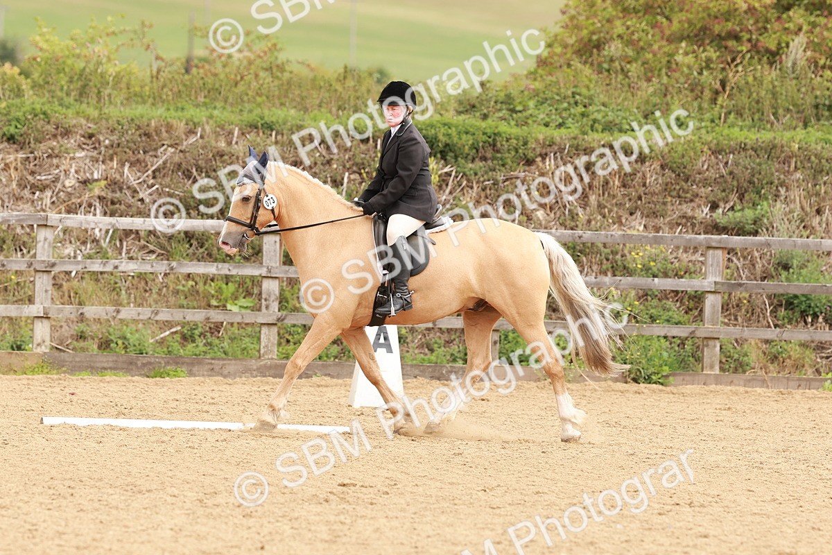 SBM_001474 - Prelim 2