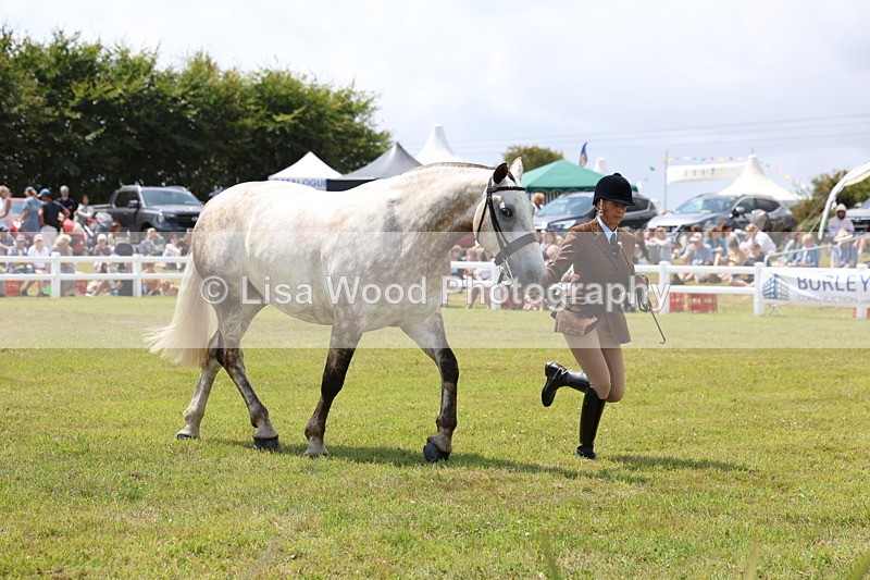 3E7A2160 - Class 10: Open Cob