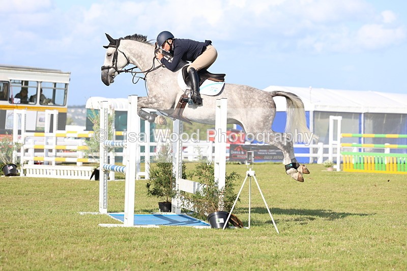 3E7A4397 - Class C: Showjumping Senior Foxhunter