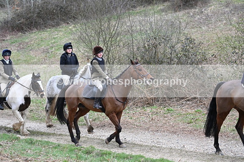 WJ7_7388 - Walk Home