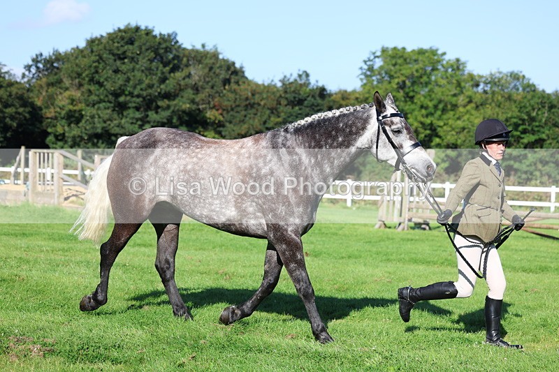 3E7A7669 - Class 1: Novice Working Hunter Pony