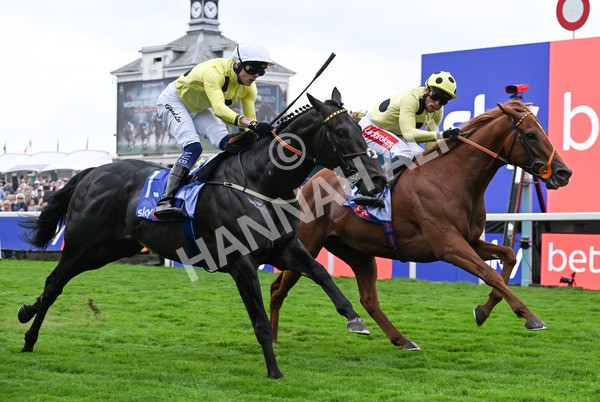 230825-009 King Of Cities - Race 1 1.50pm Sky Bet Strensall Stakes