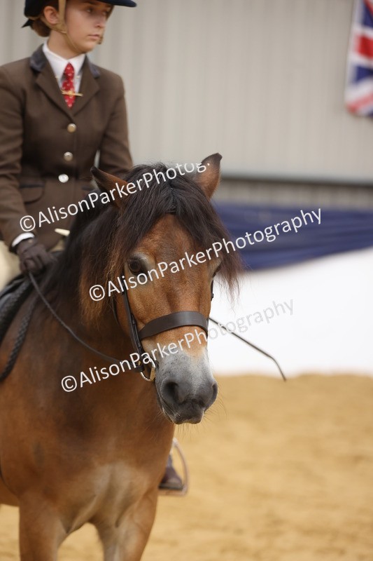 20260913-0640 - Class 126 - Novice Ridden
