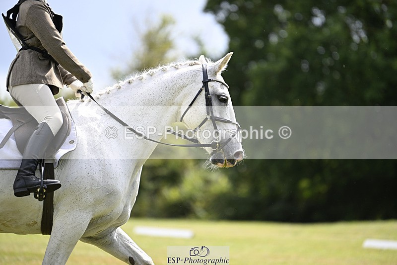 240824X-125329-26599 - D80 Section E and F 12.00 to 13.20