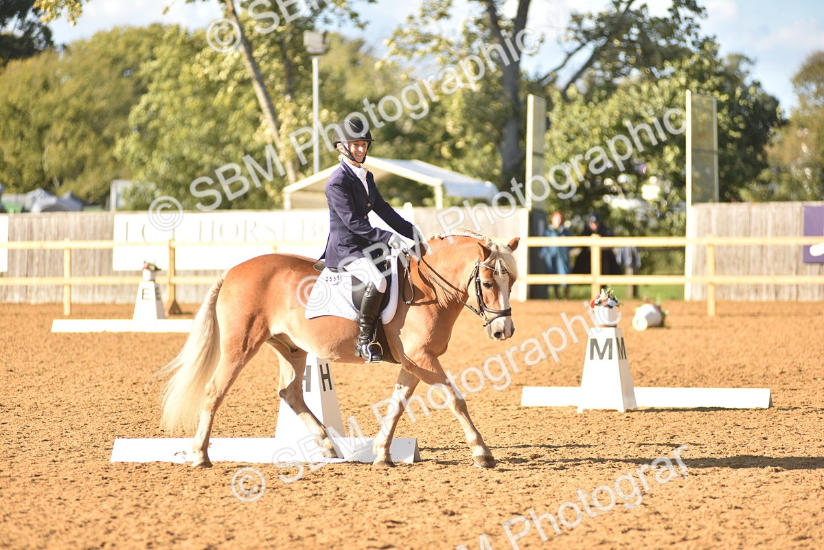 SBM_11406 - D28 - Elementary