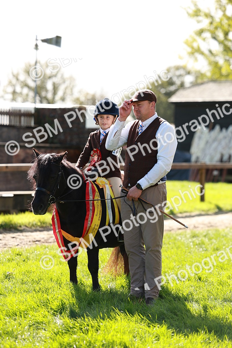 SBM_42166 - S32 - Mountain & Moorland Working Hunter Pony