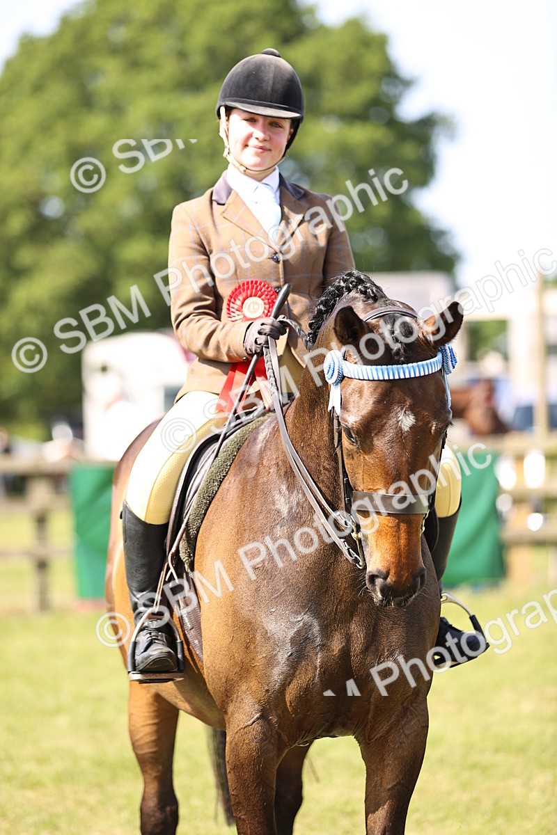 SBM_12950 - Class 75-76 LIHS BSHA Rising Star Hack Riding Horse