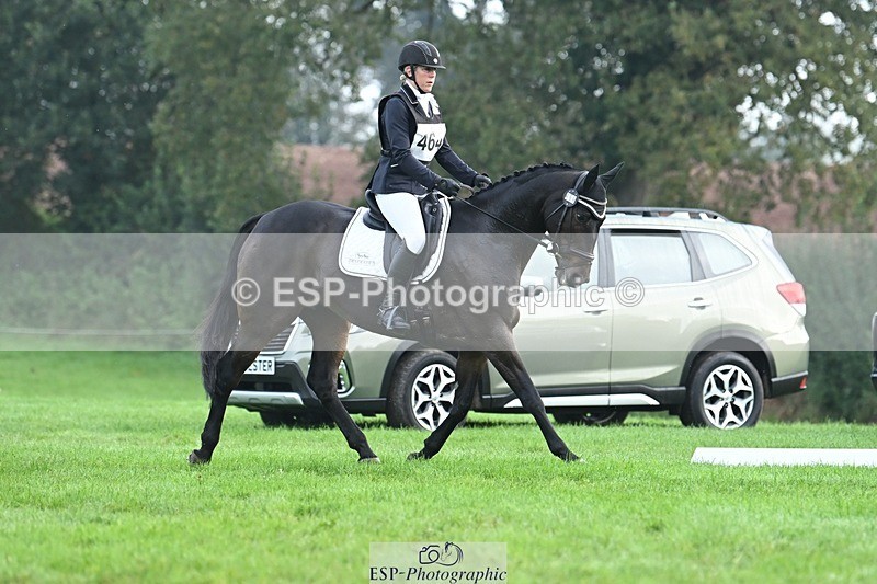 231020-094351-05739 - 464-IMPERIAL.TANGLE-Deborah.Burrell-DR