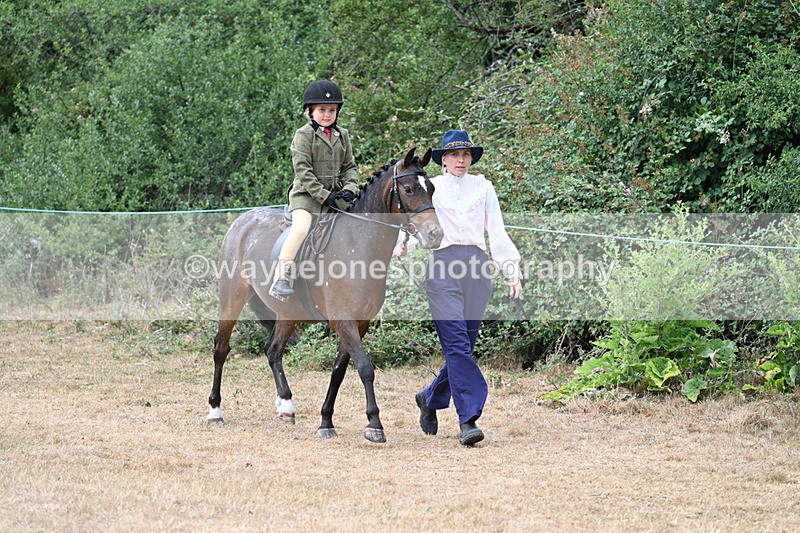 WJ7_0381 - Class 6 Ridden Mountain and Moorland