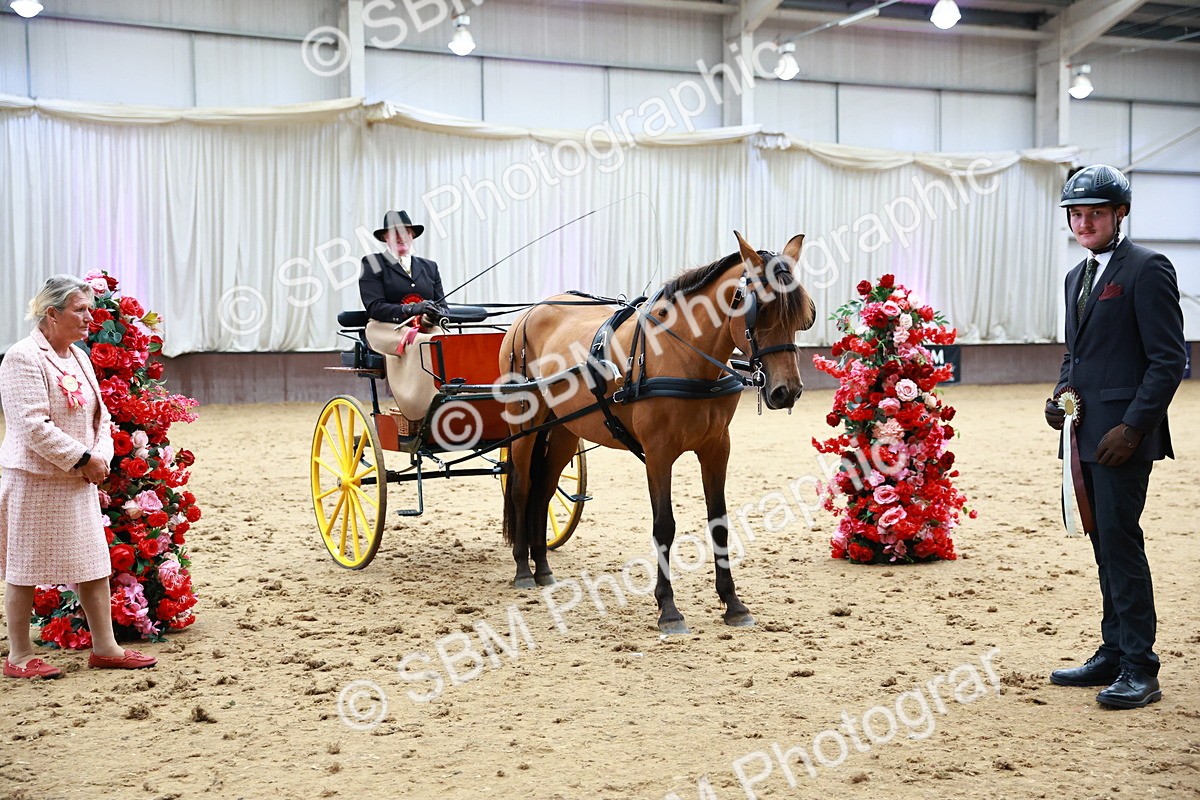 SBM_001076 - Class 15 - Open Showmans Class