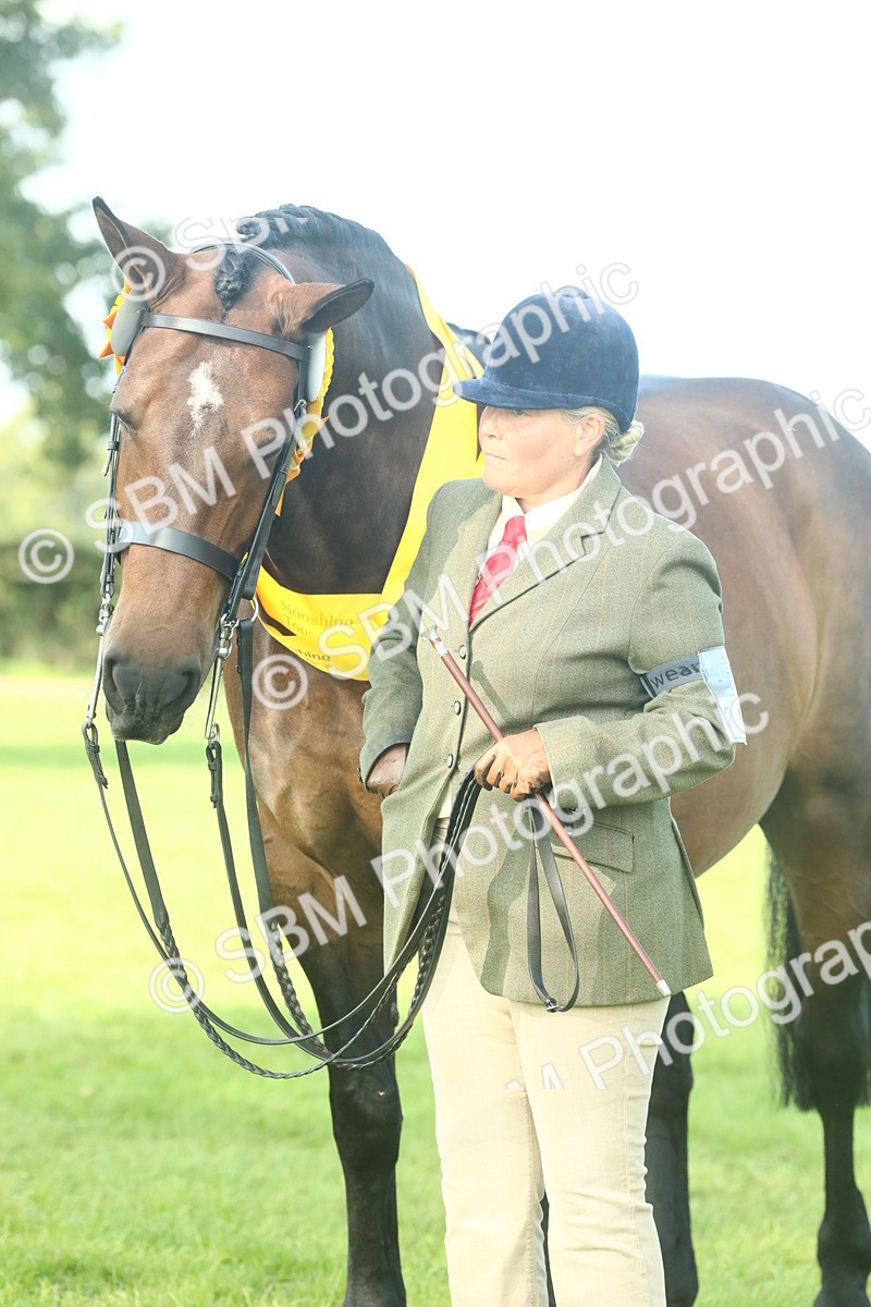 SBM_61135 - Starter Supreme Championship