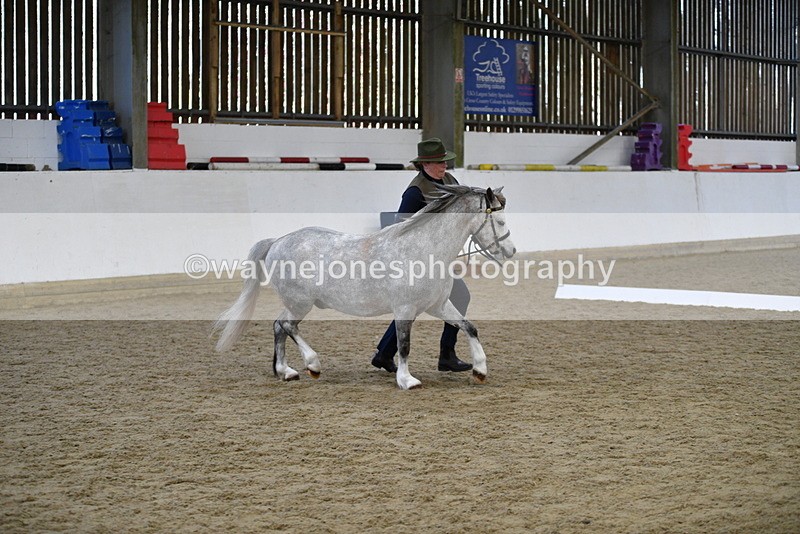 WJ5_5416 - Class 4 In hand M&M - small breeds