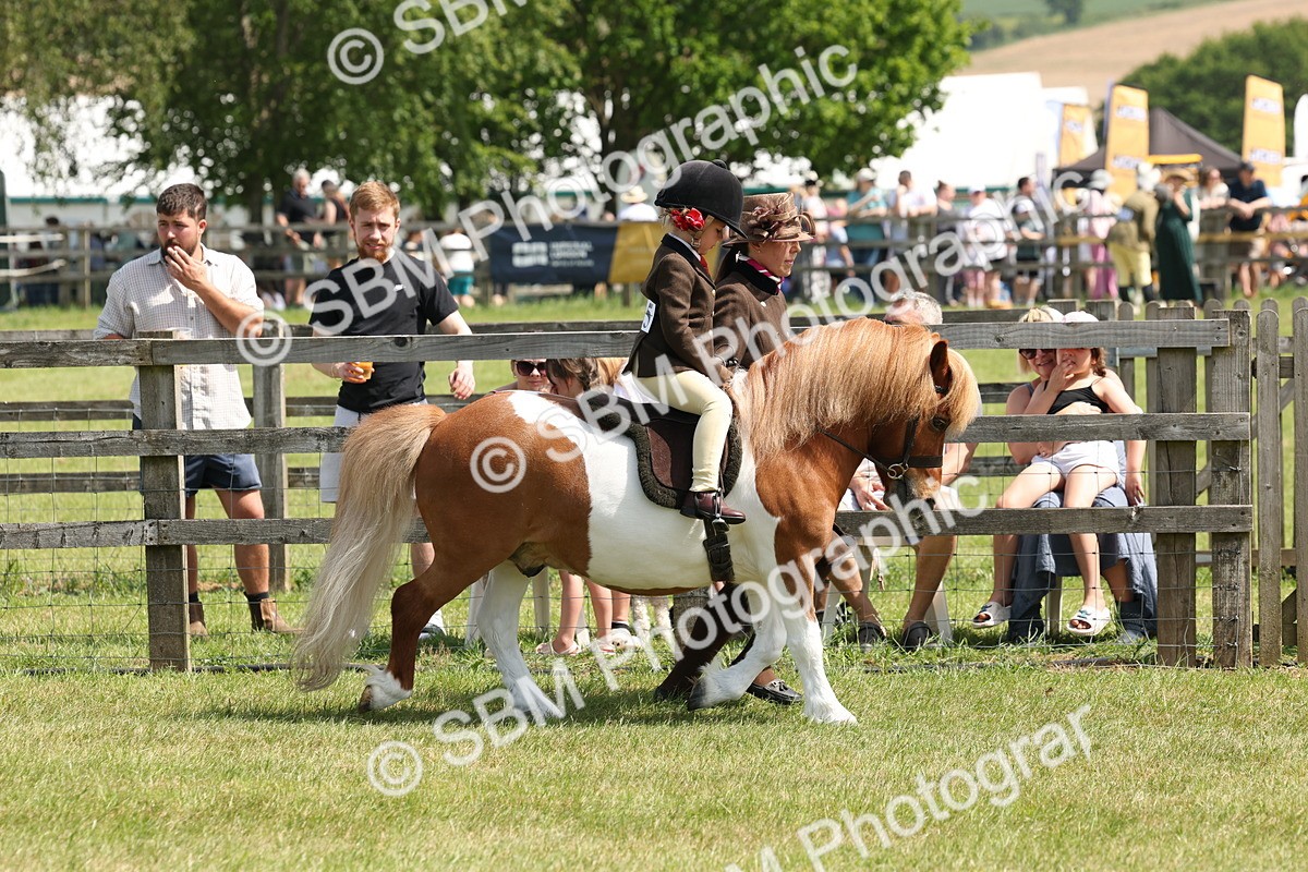 SBM_05219 - Class 24-25 - Mountain & Moorland In Hand Lead Rein and First Ridden