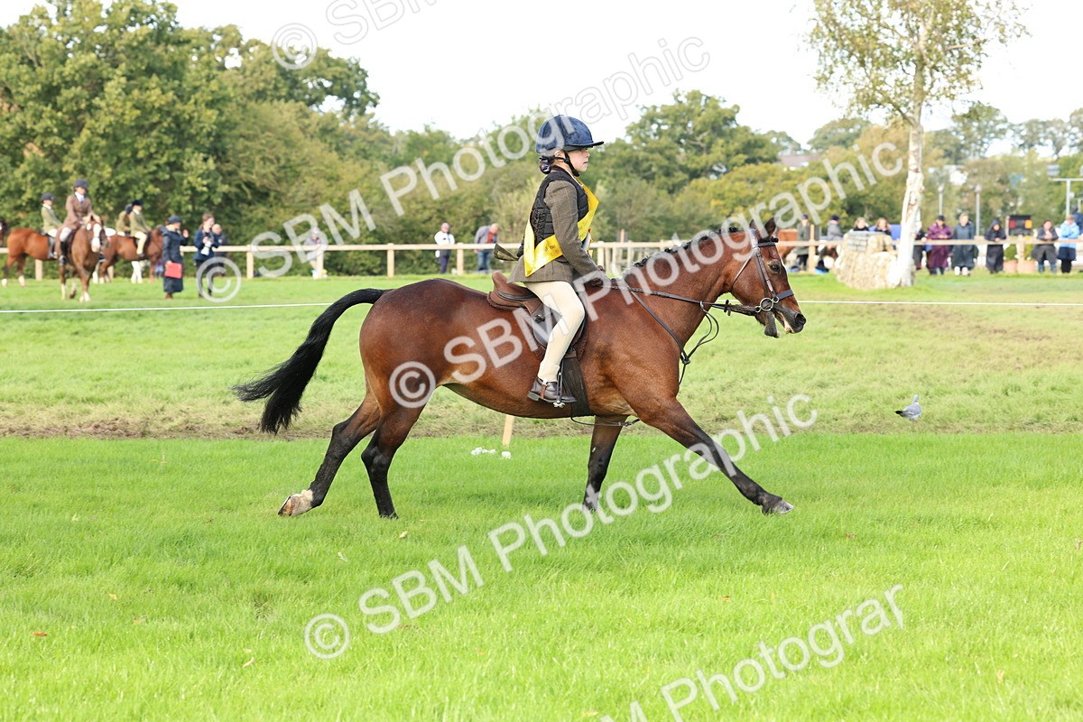 SBM_46356 - Working Hunter Pony Supreme Championship