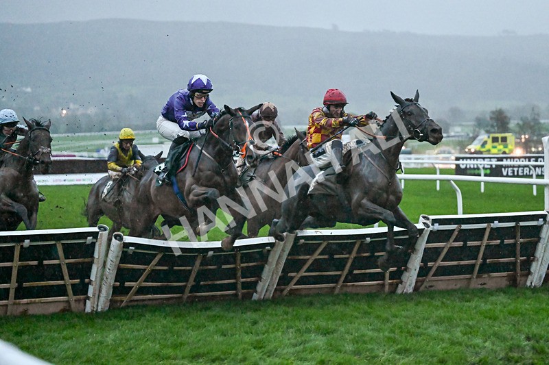 141125-Race 6-Frontier Prince-1510 - Race 6